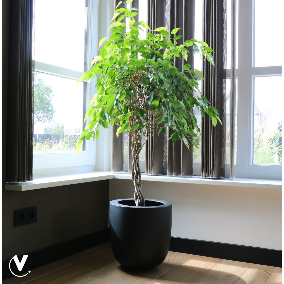 Plantenpot - Ducos big black