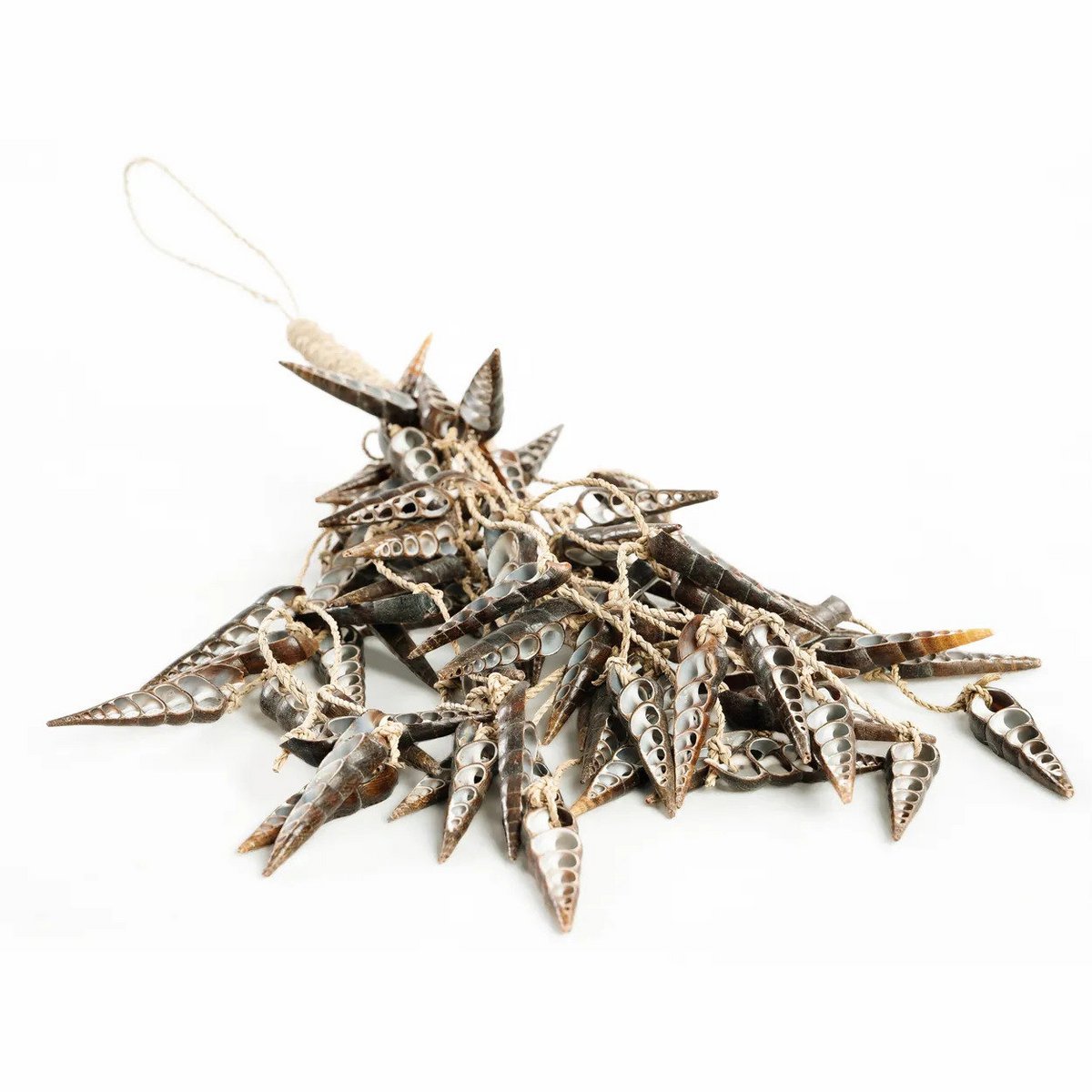 De Eenhoorn Schelp Kwastje - Bruin