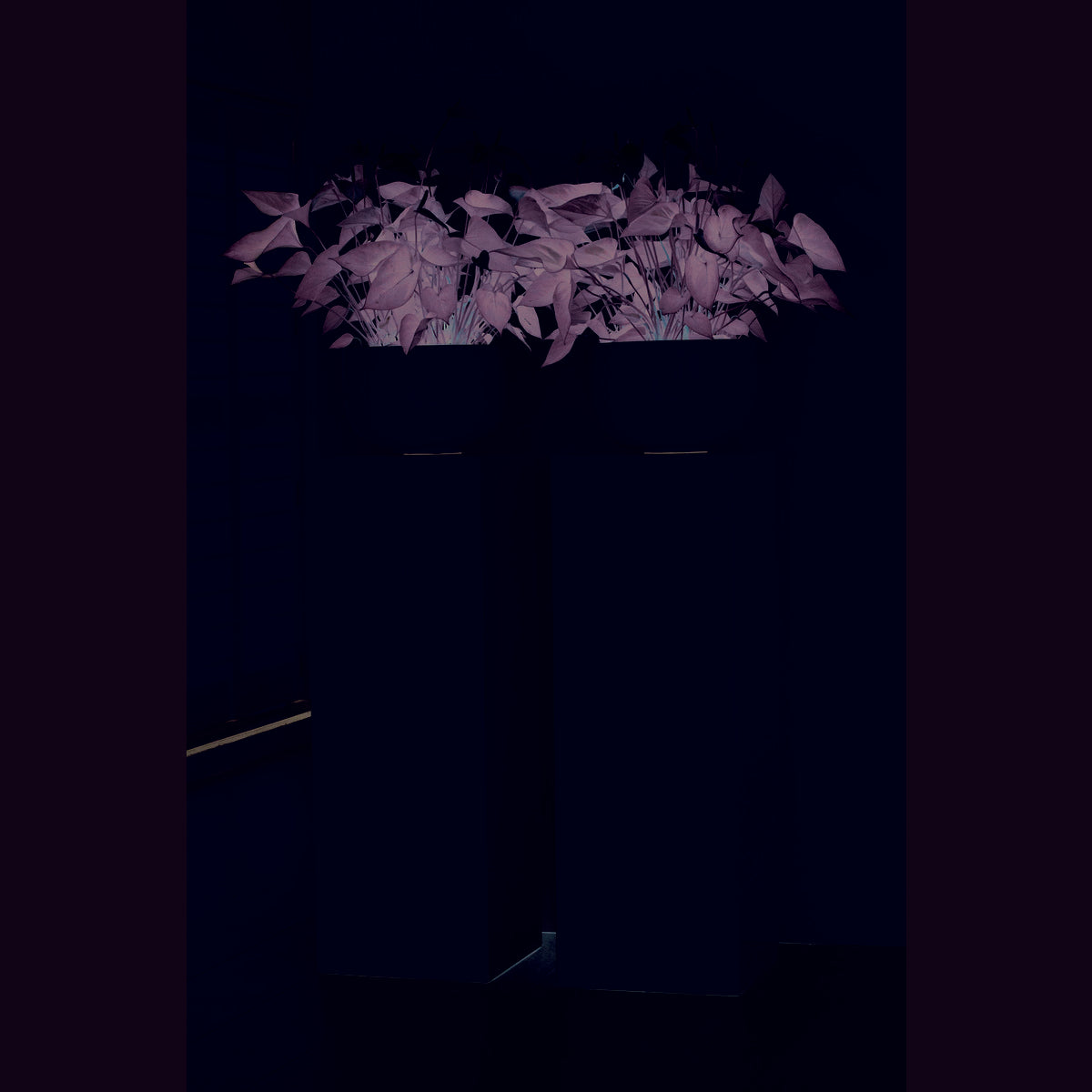 Zuil/Plantenbak - Pearl shiny white