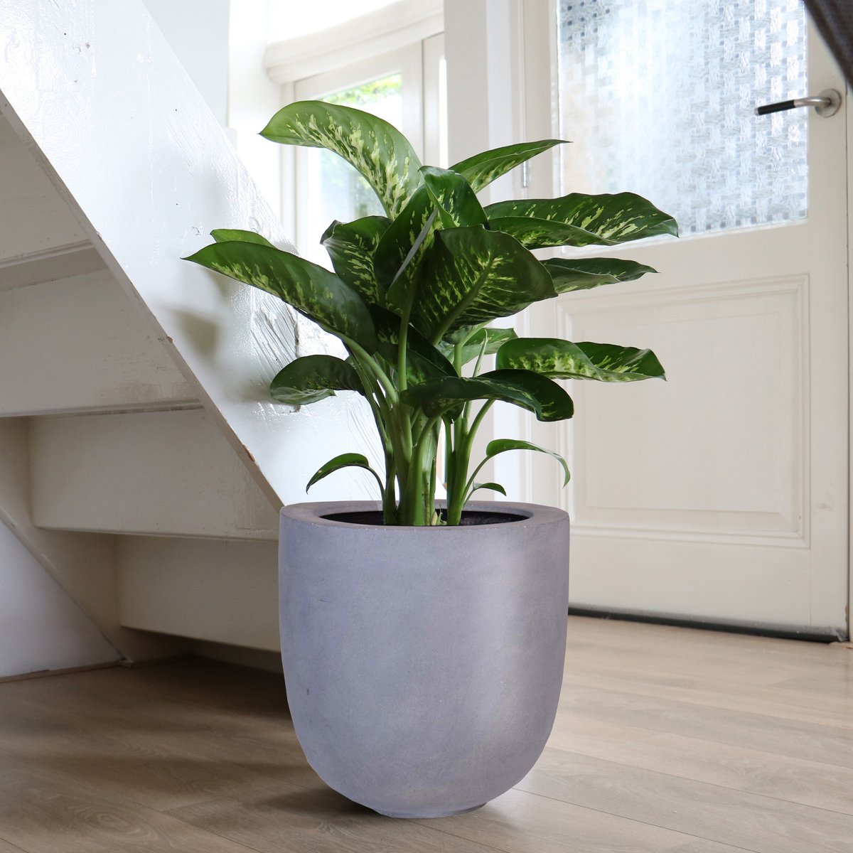 Plantenpot - Ducos big grey