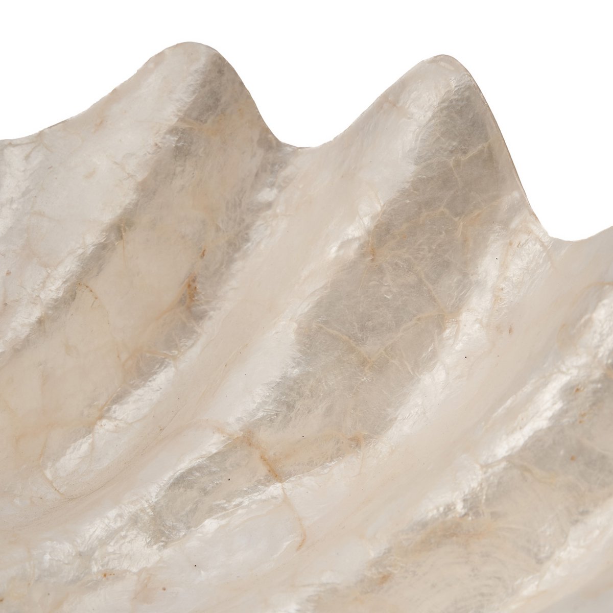 Het Parelmoer Zeepbakje - Wit - M