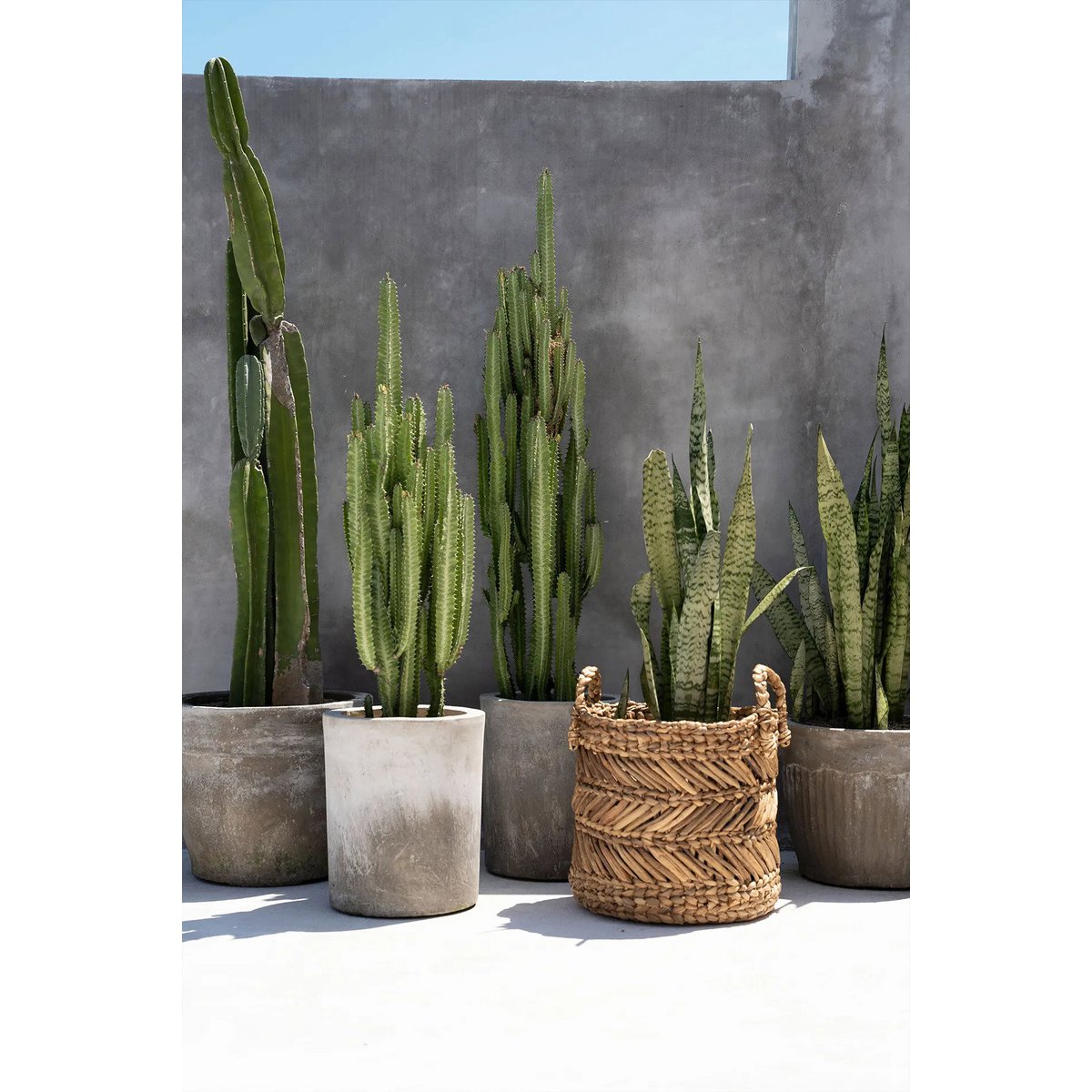 De bananenzigzagmand - L