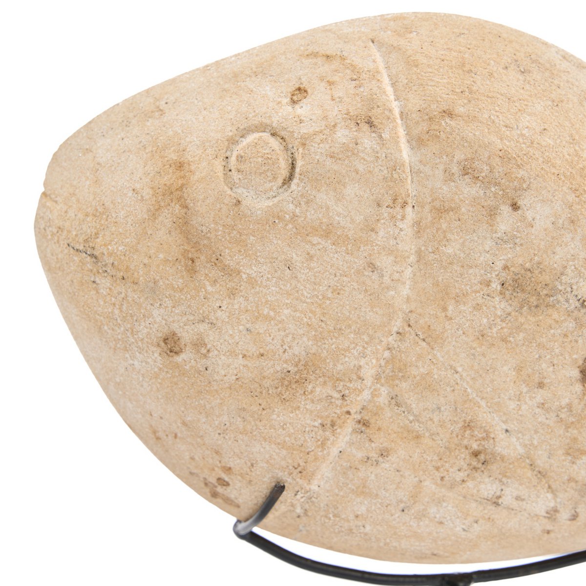 De Vissteen op Standaard - S