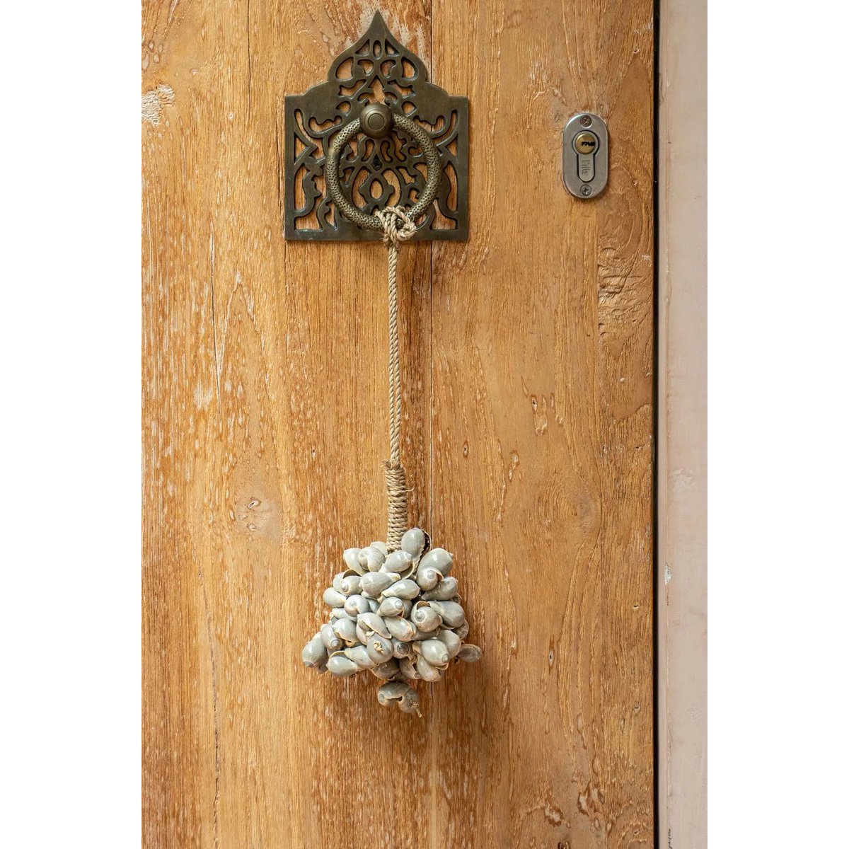 De grijze schelpkwast