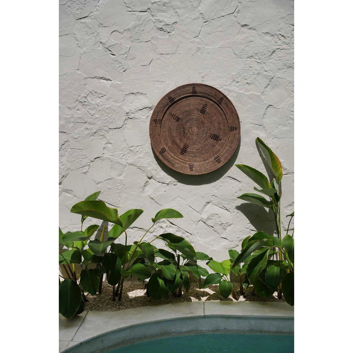 The Jasmine Plate - Bruin - L