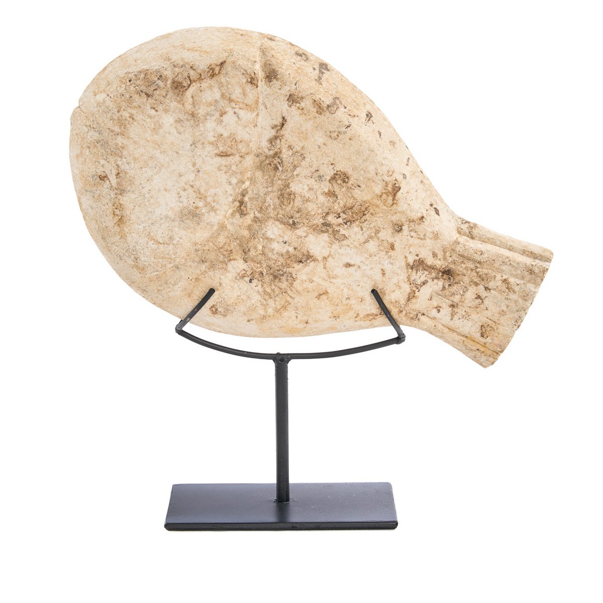 De Vissteen op Standaard - S