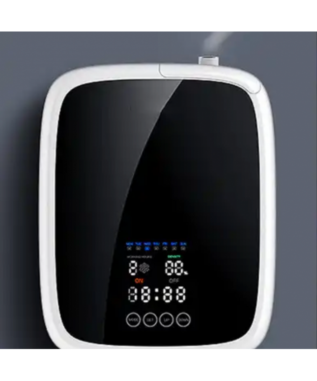 Walia Basis