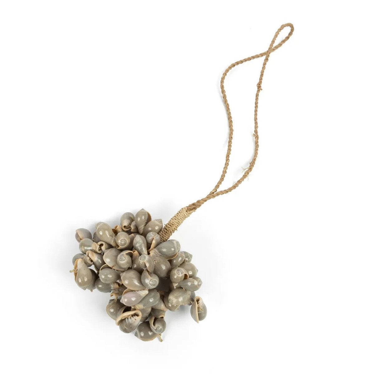 De grijze schelpkwast