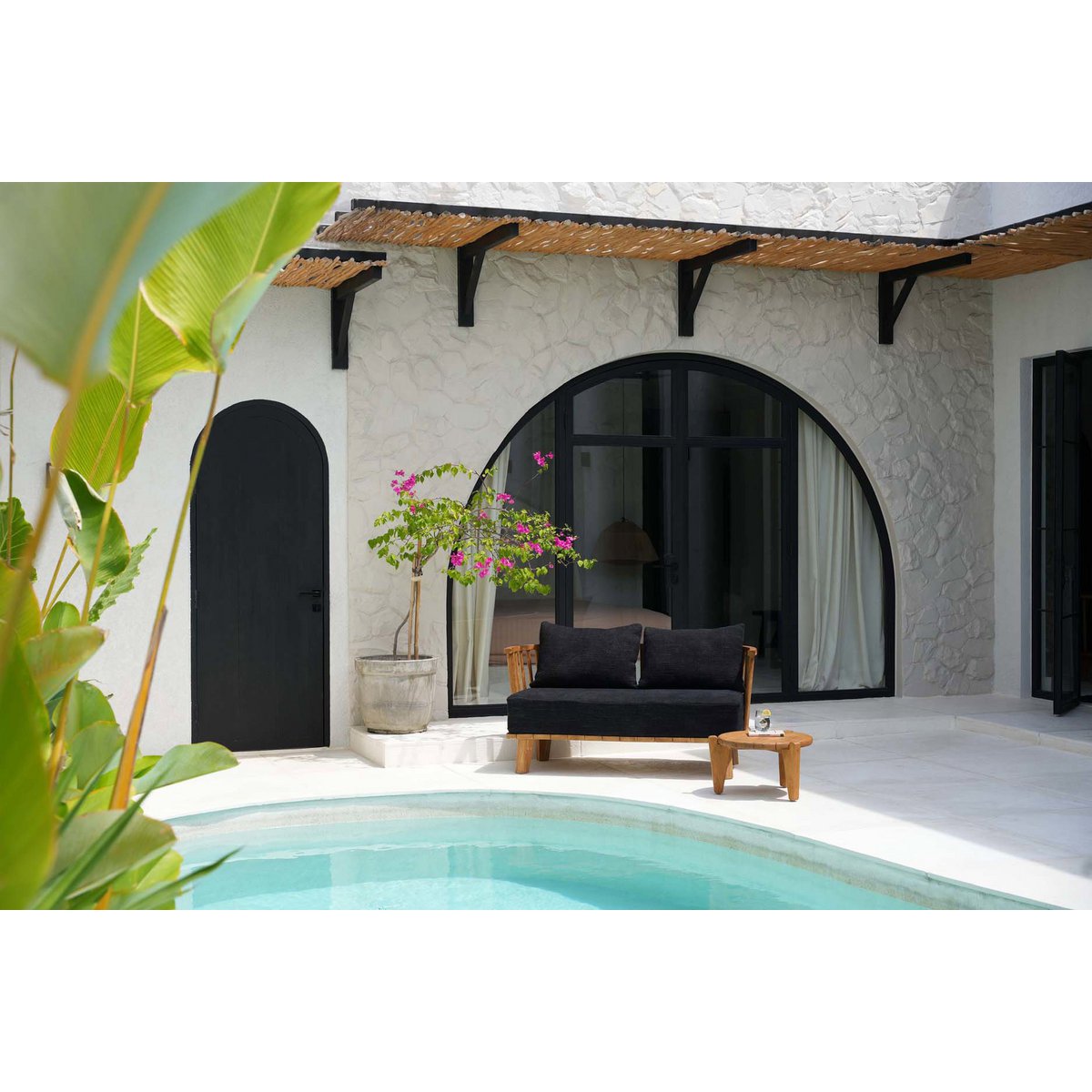 De Malawi tweezitter - natuurlijk zwart