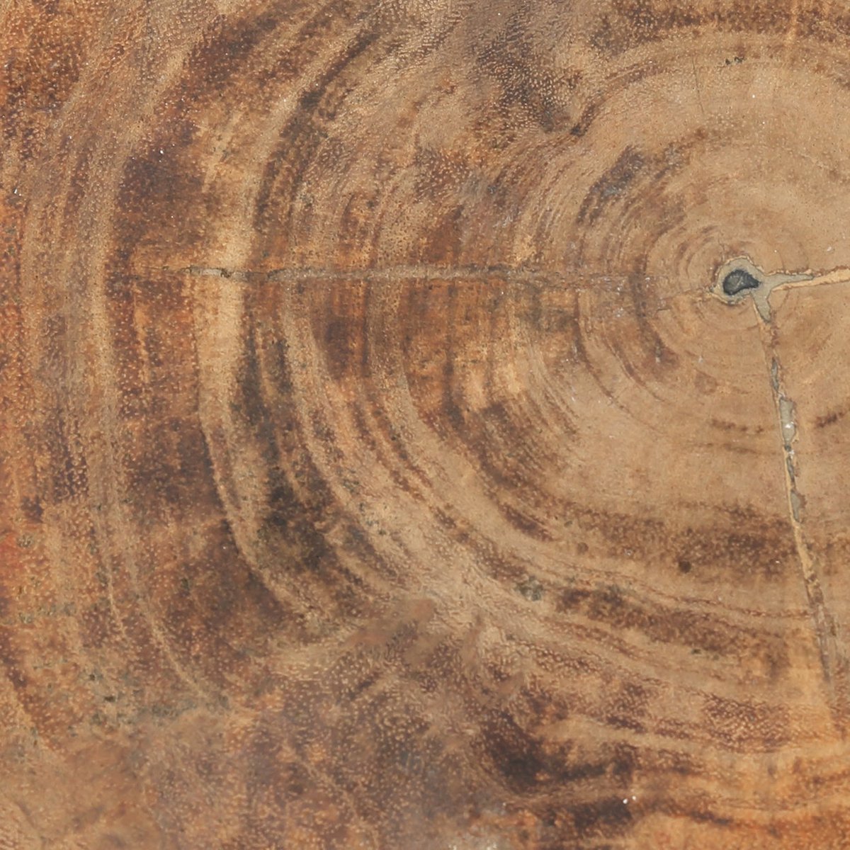 The Tribe Kruk - Natuurlijk Zwart