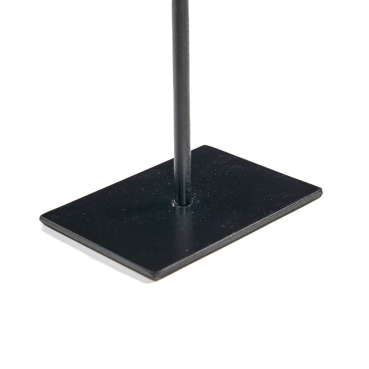 De Vissteen op Standaard - S