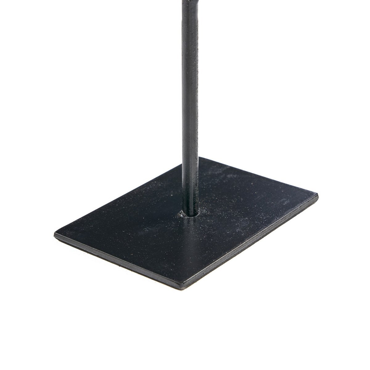 De Vissteen op Standaard - S