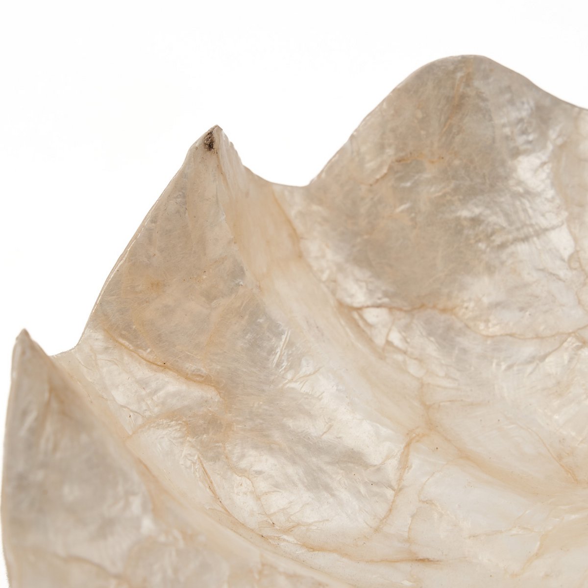 Het Parelmoer Zeepbakje - Wit - S