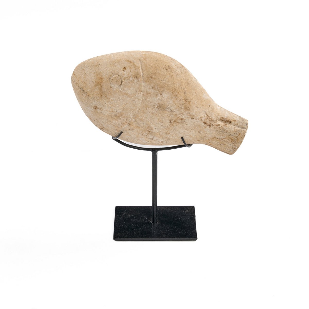 De Vissteen op Standaard - S