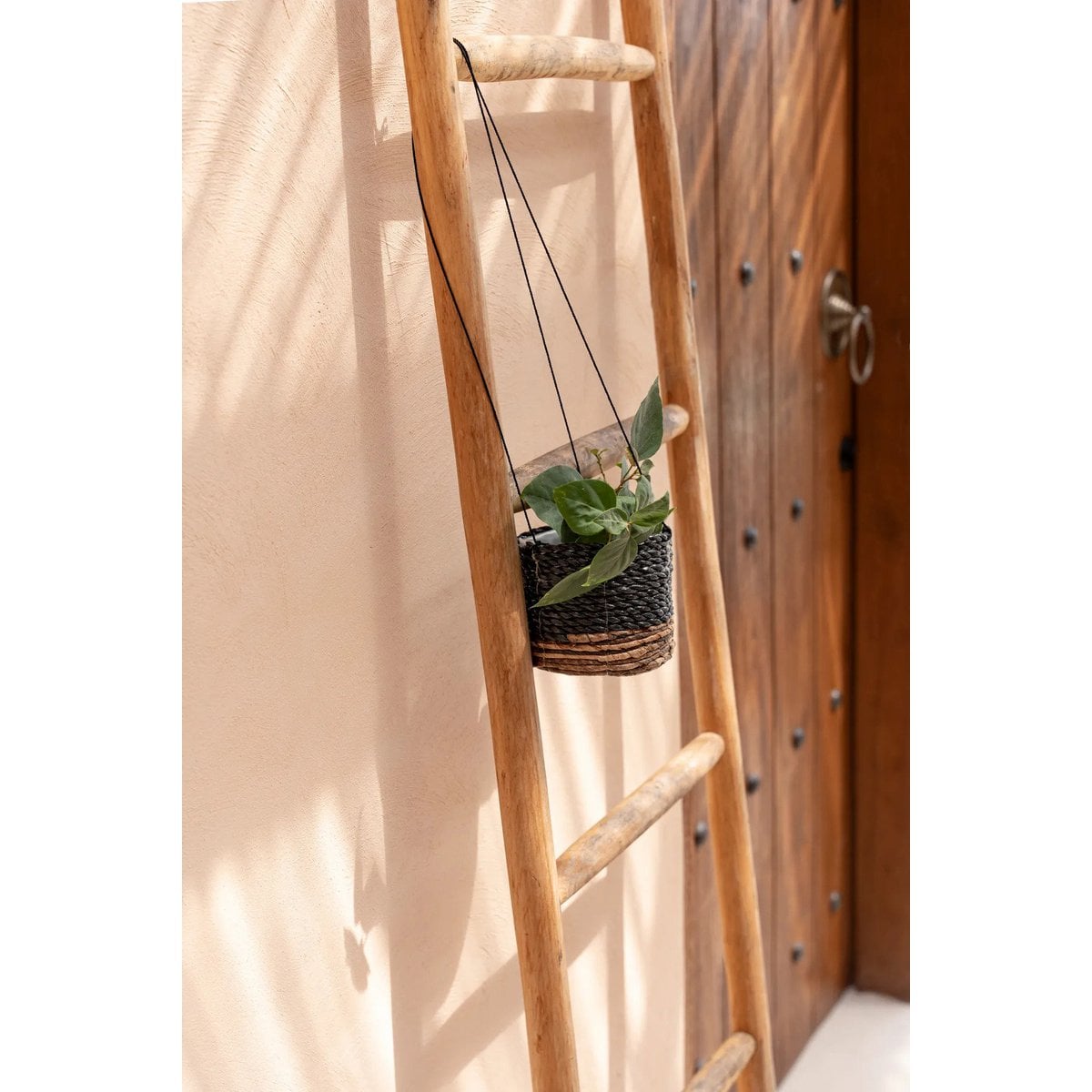 De Bananenplantenhanger - Naturel Zwart - S