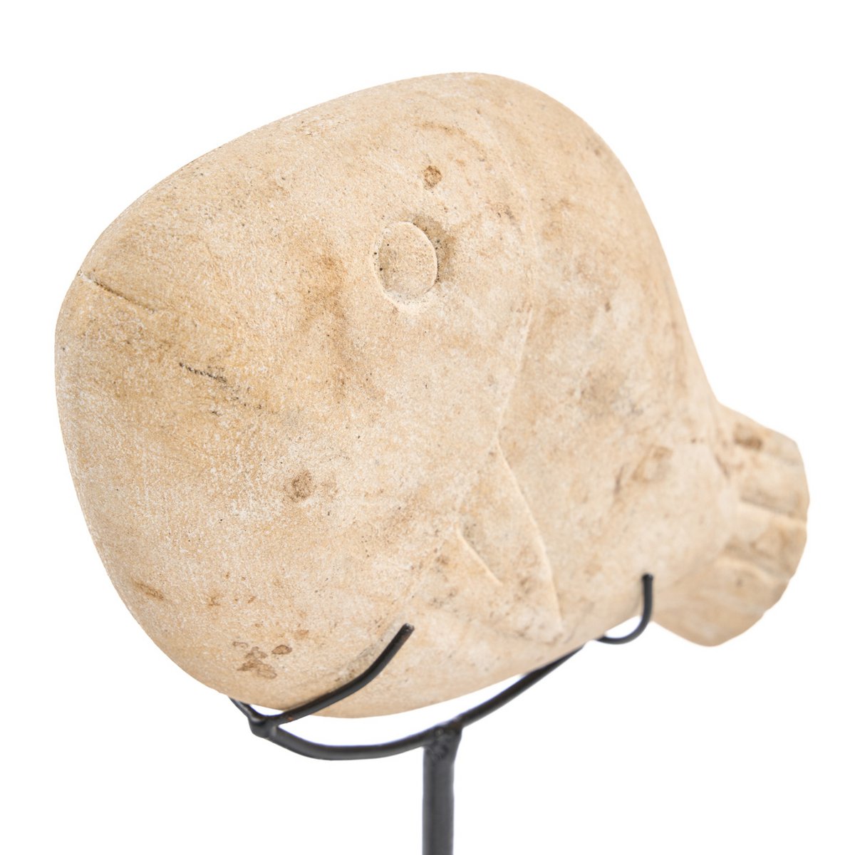 De Vissteen op Standaard - S