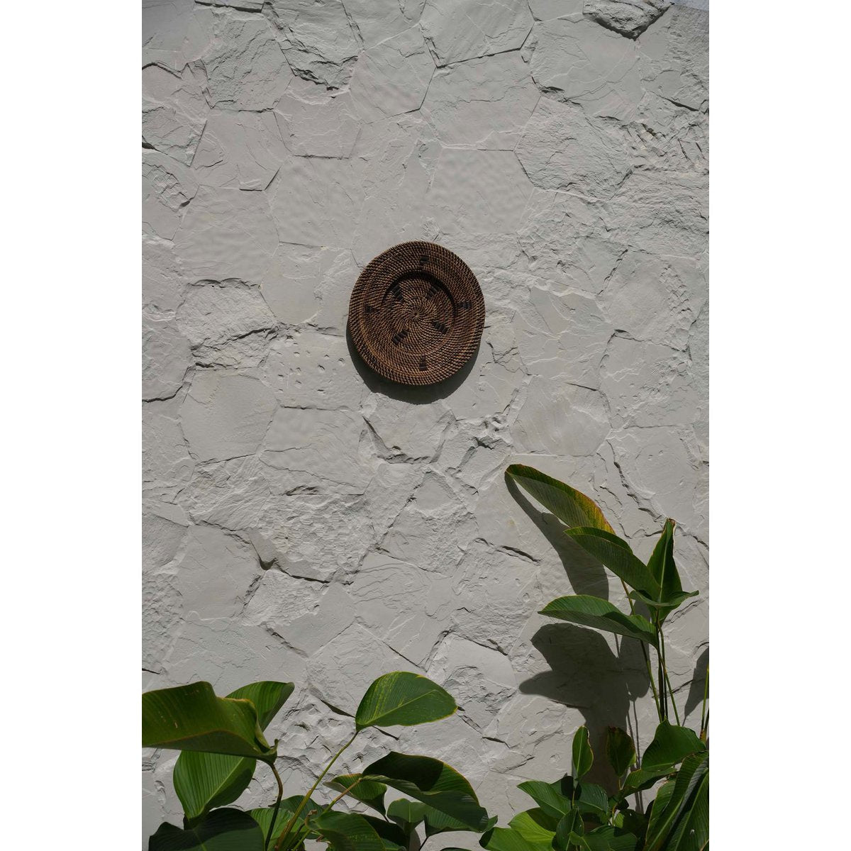 The Jasmine Bord - Bruin - S