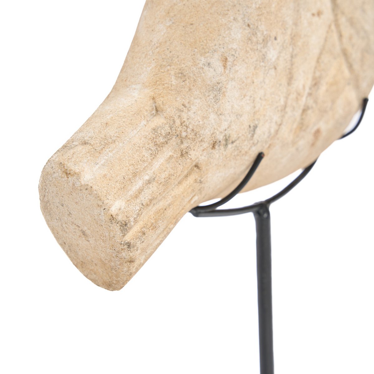 De Vissteen op Standaard - S