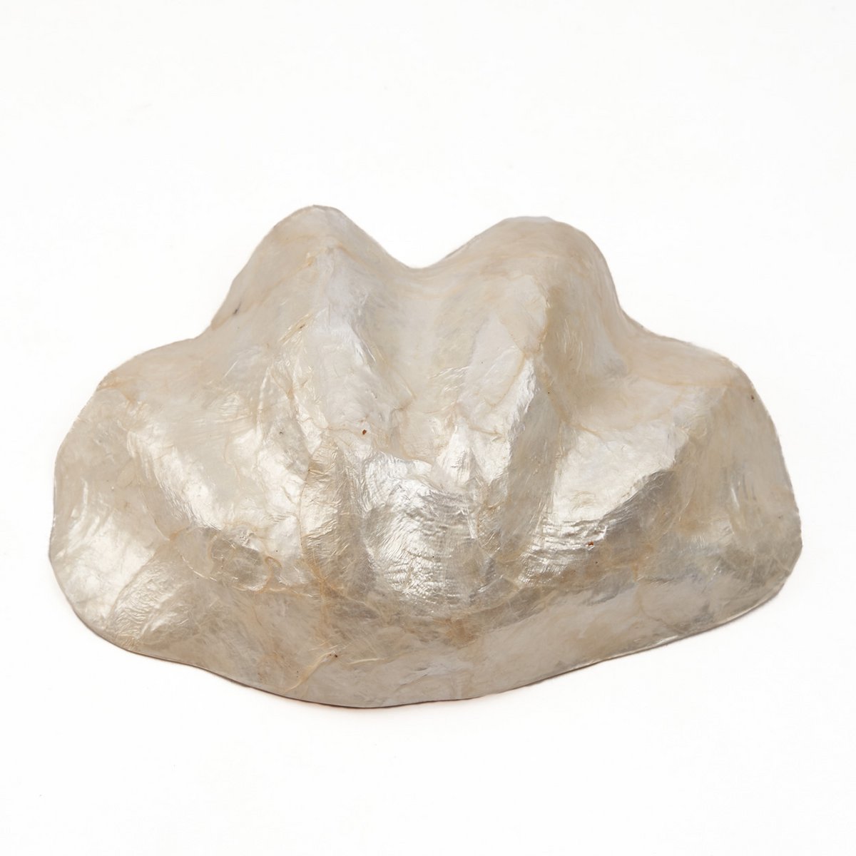 Het Parelmoer Zeepbakje - Wit - S