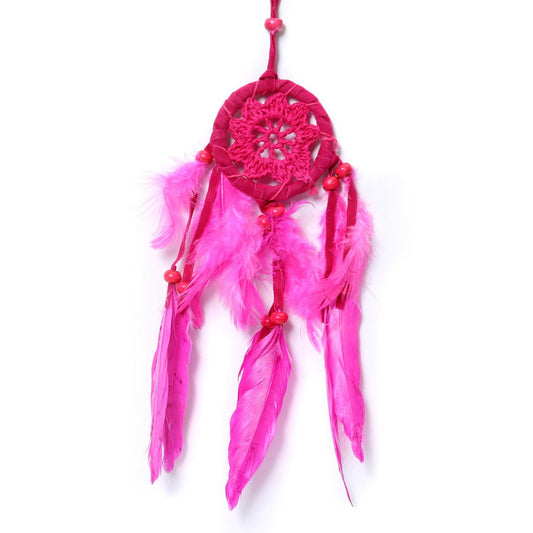 De kleine haakdromer