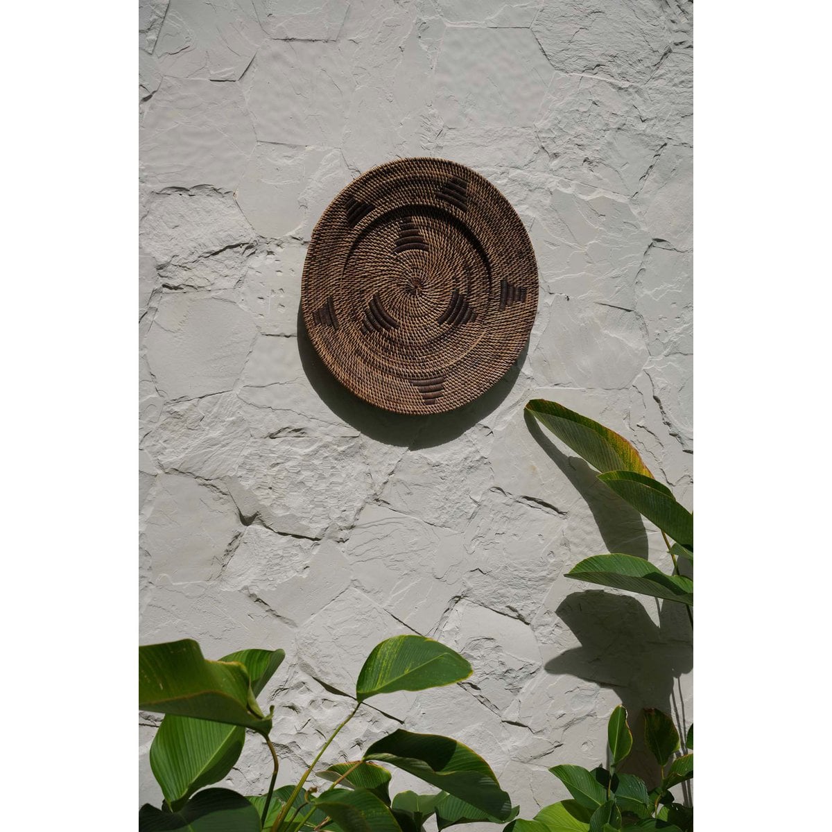 The Jasmine Plate - Bruin - M