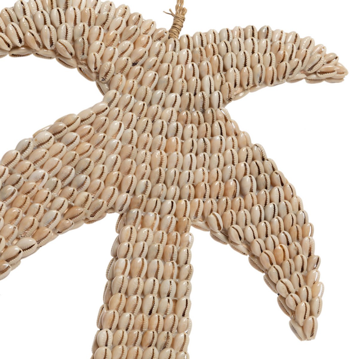 De Schelppalm - Natuurlijk