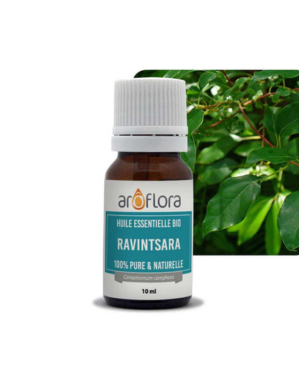 Set van 6 BIOLOGISCHE essentiële oliën 6x10 ml Ravintsara
