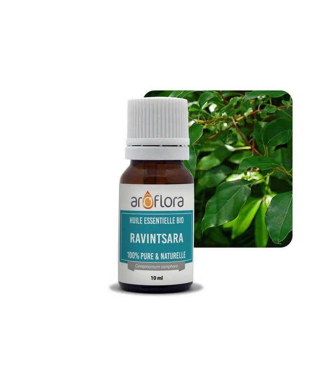 Set van 6 BIOLOGISCHE essentiële oliën 6x10 ml Ravintsara