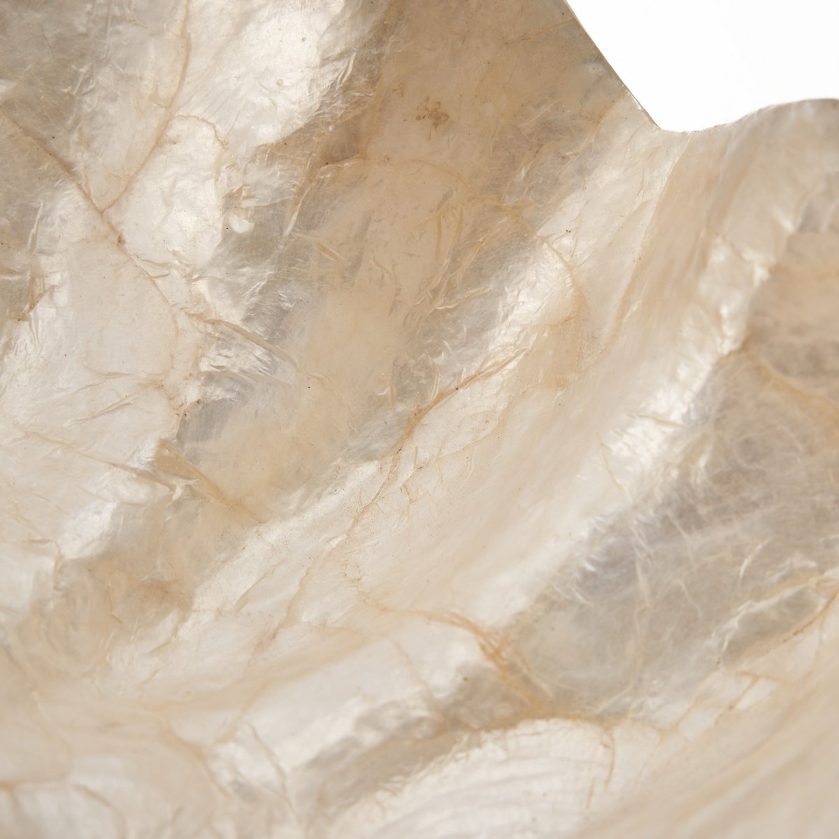 Het Parelmoer Zeepbakje - Wit - S