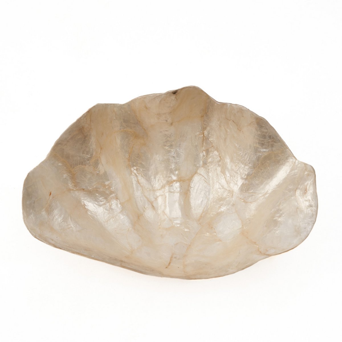 Het Parelmoer Zeepbakje - Wit - S