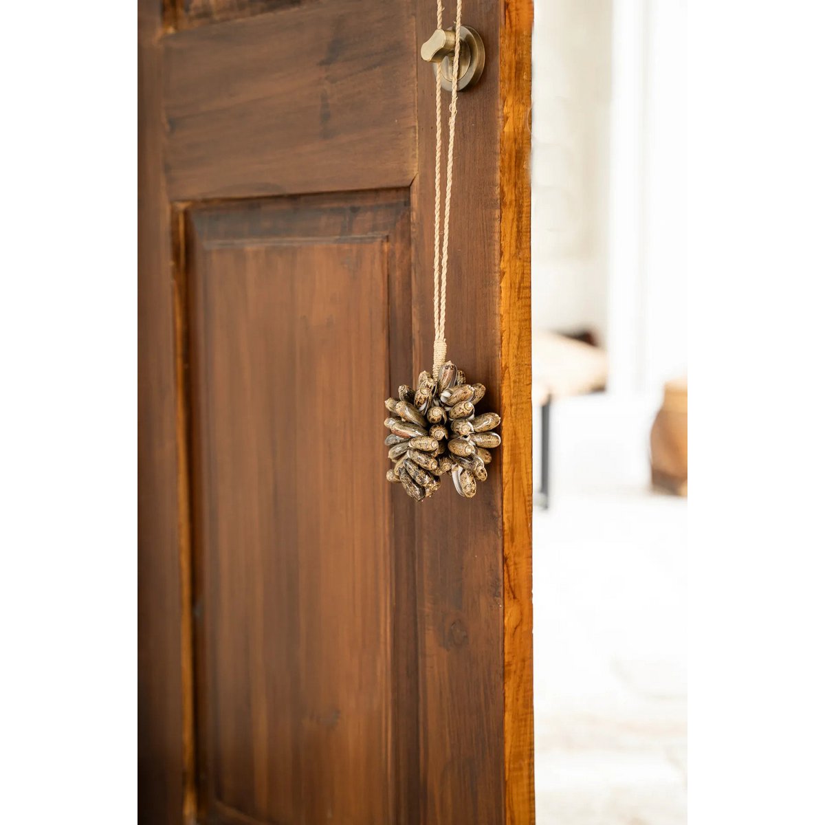 De bruine kauri shell kwast