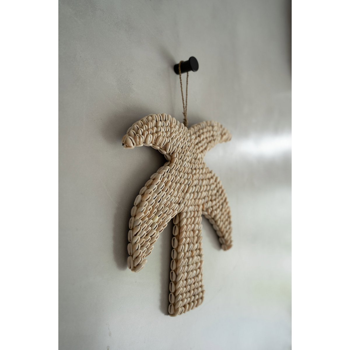 De Schelppalm - Natuurlijk