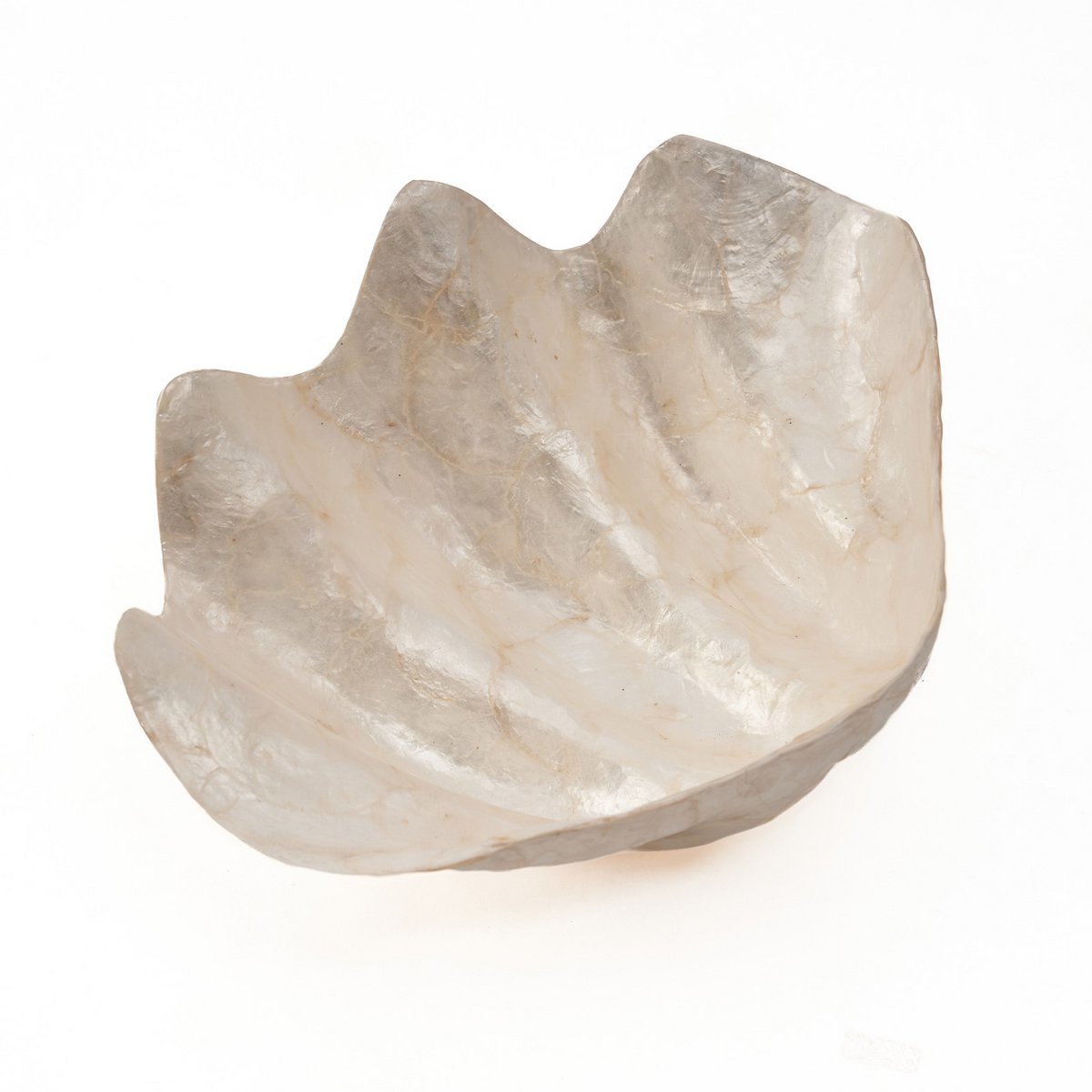 Het Parelmoer Zeepbakje - Wit - M