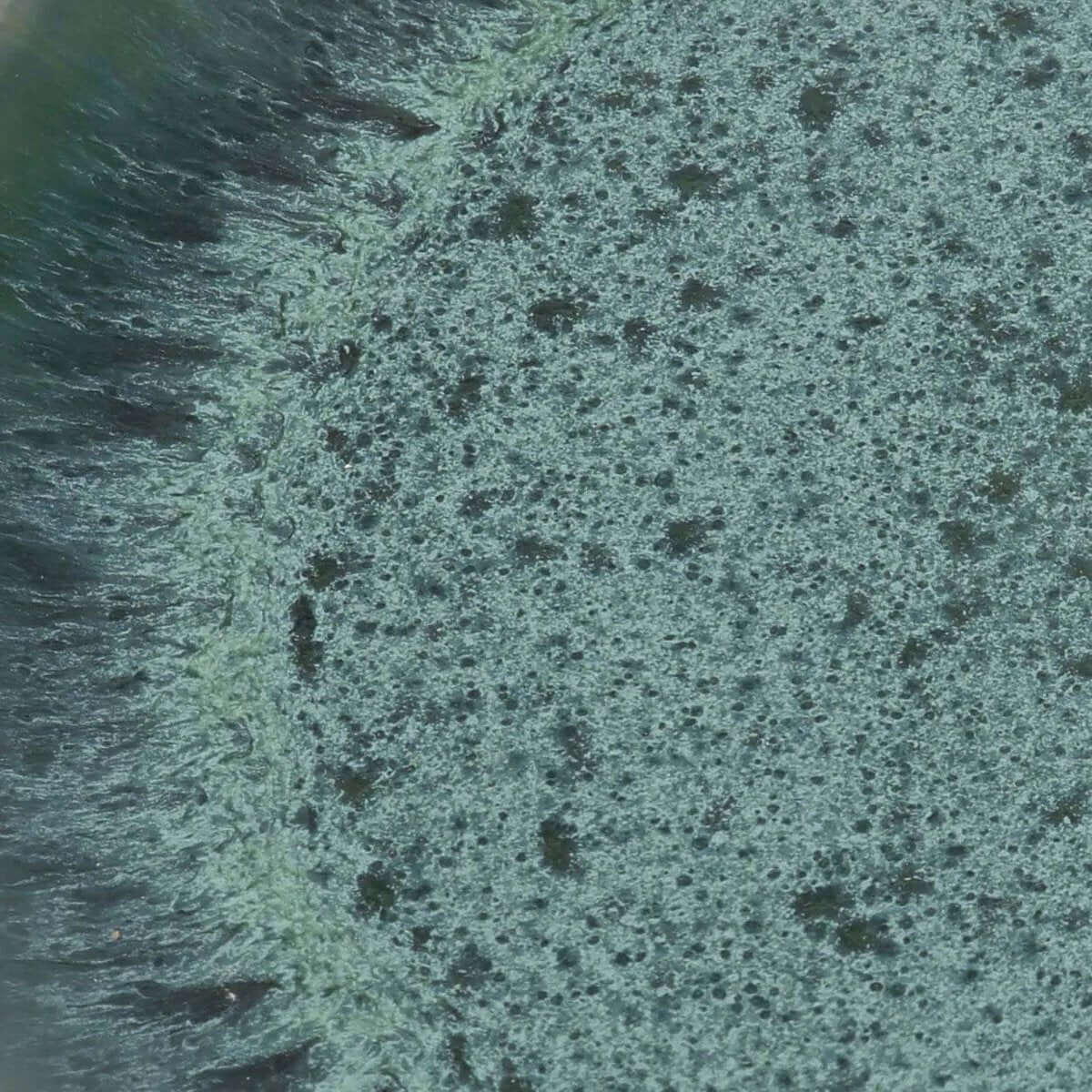 Het Aqua Dinerbord - Set van 4