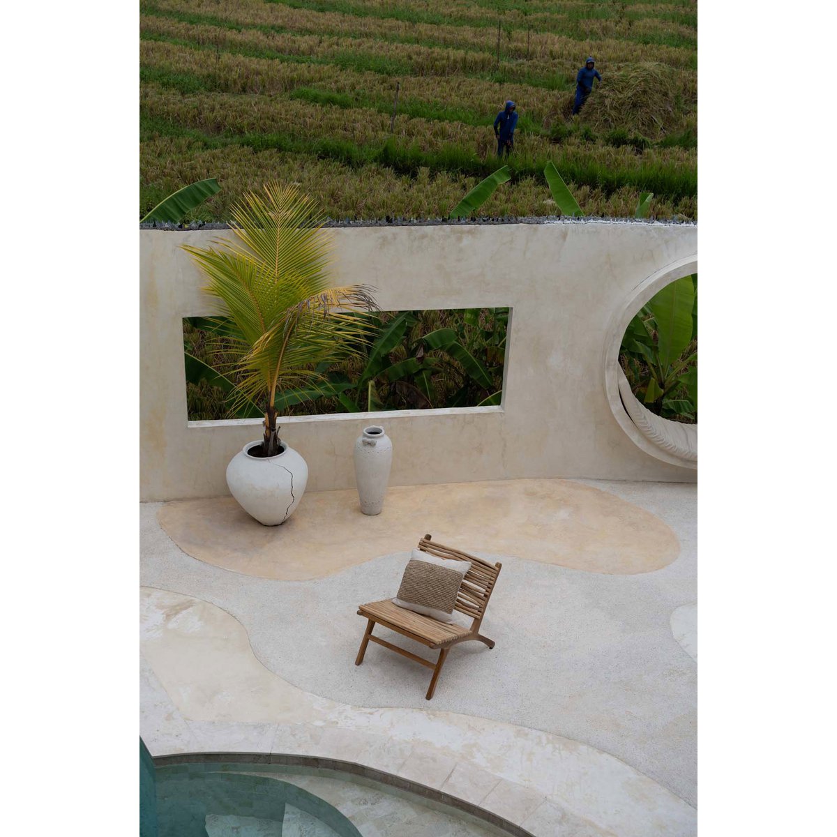 The Islander - Natuurlijk