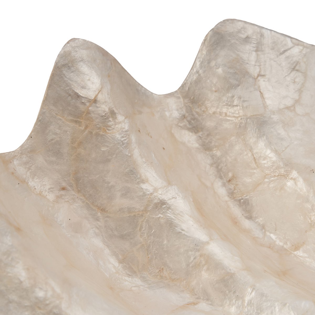 Het Parelmoer Zeepbakje - Wit - M