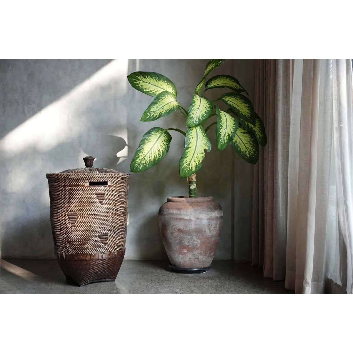 The Colonial Wasmand - Naturel Bruin - XL